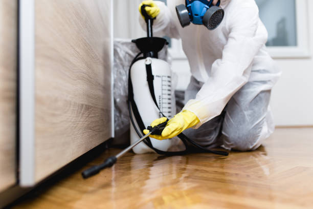 Best Cockroach Control Services  in Smithton, IL