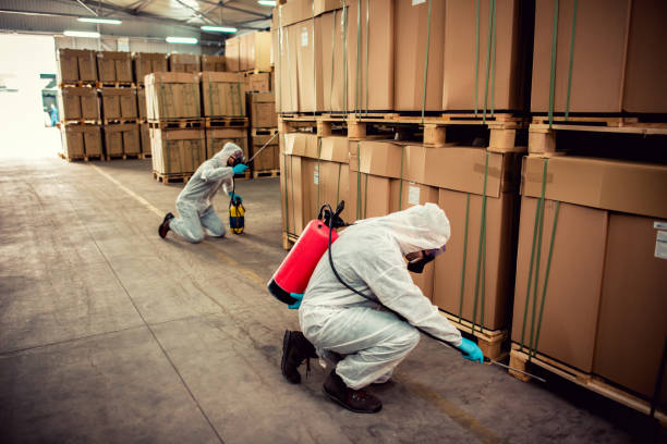 Best Pest Removal Services  in Smithton, IL