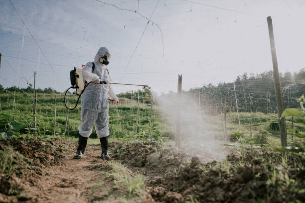 Best Pest Prevention Services  in Smithton, IL