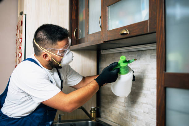 Best Termite Control Services  in Smithton, IL
