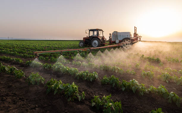 Insect Control in Smithton, IL