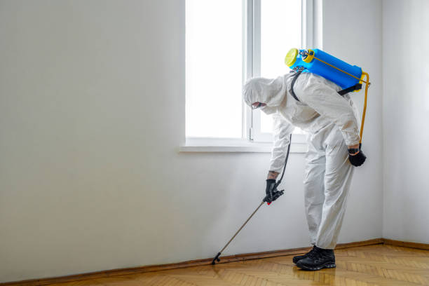 Best Insect Control  in Smithton, IL