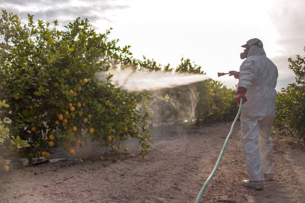 Pest Prevention Services in Smithton, IL