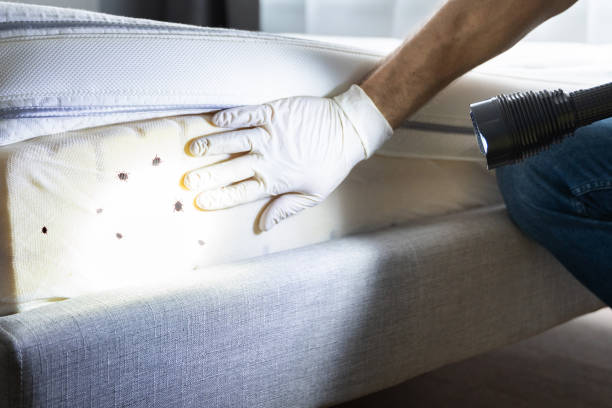 Trusted Smithton, IL Pest Control Experts