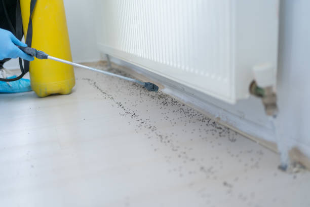 Best Wildlife Control Services  in Smithton, IL