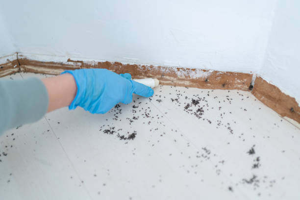 Best Pest Prevention Services  in Smithton, IL