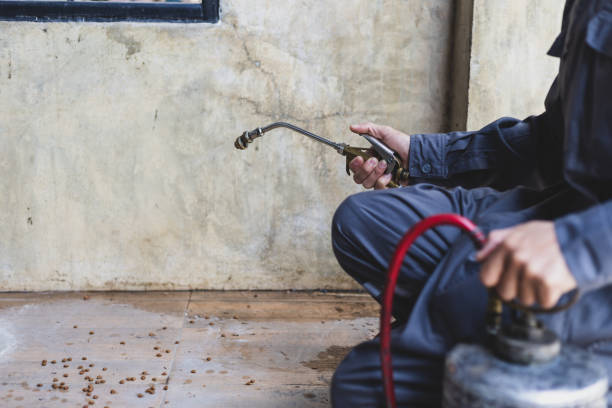 Best Commercial Pest Control Services  in Smithton, IL